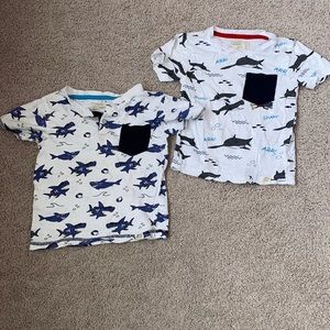 Calling all shark 🦈 lovers